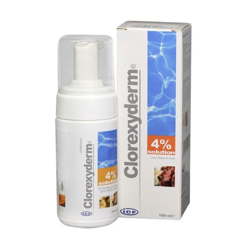 Clorexyderm Solution 4 % 100 ml distrib. de mousse Ufamed