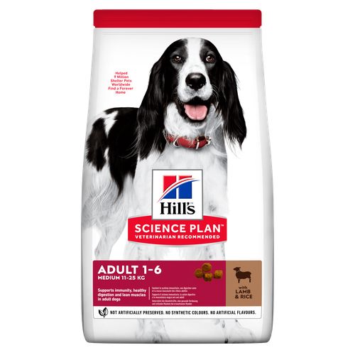 Hill's Science Plan Medium Adult Lamb and Rice 14 kg - MyStetho Veterinary