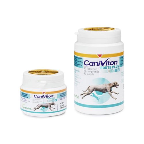 Caniviton Forte Plus 90 Tabl. - MyStetho Veterinary