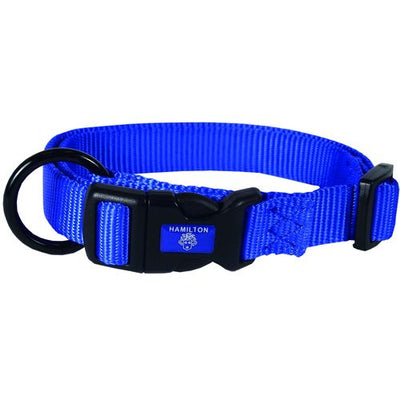 Collier pour chiens bleu 1 x 20 - 30 cm lang Covetrus 
