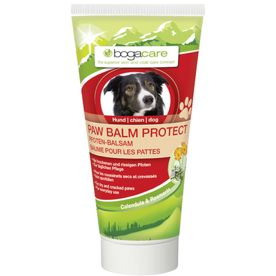 Calibra Veterinary Recovery 400g - MyStetho Veterinary