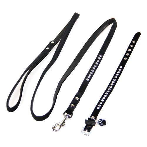 Trendline Set Azure: collier & laisse pour chiens & chats - MyStetho Veterinary
