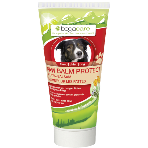 Calibra Veterinary Recovery 100g - MyStetho Veterinary