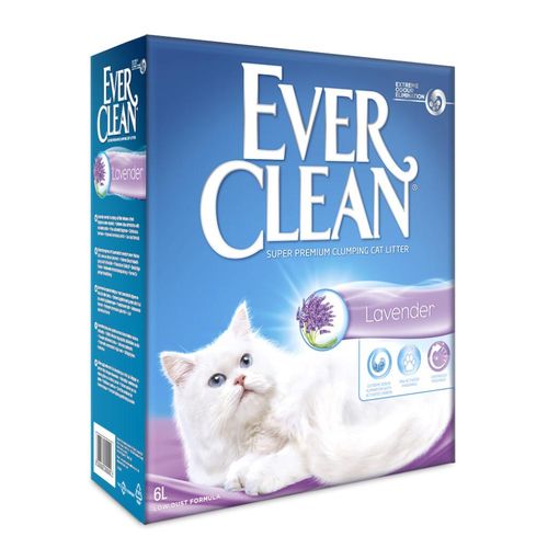 Lavender 6L - MyStetho Veterinary