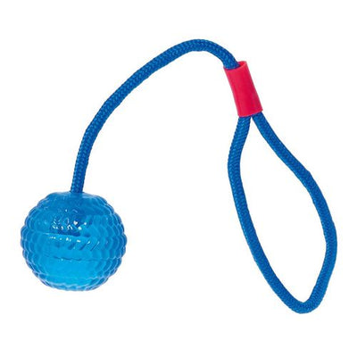Swisspet balle avec corde pour lancer, bleue claire - MyStetho Veterinary