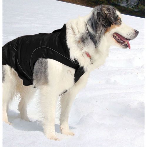 swisspet climaro Softshelljacke 35cm, sw wind- und wasserdicht, waschbar bei 30° - MyStetho Veterinary