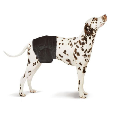 Swisspet Couches pour mâle Delphin-Amazonia 