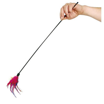 Swisspet plumeau Delphin-Amazonia 