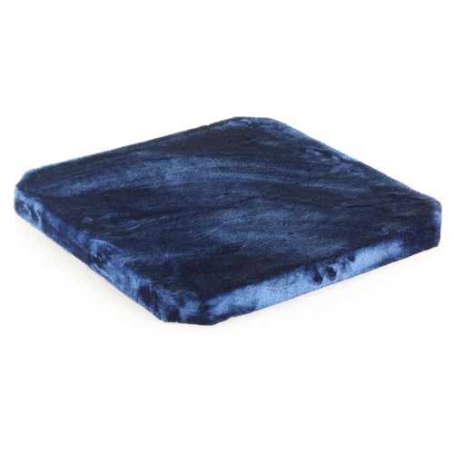 Swisspet Socle, 52x52x5cm, bleu - MyStetho Veterinary