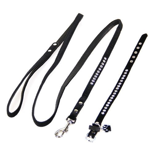 Trendline Set Azure: collier & laisse pour chiens & chats Delphin-Amazonia 